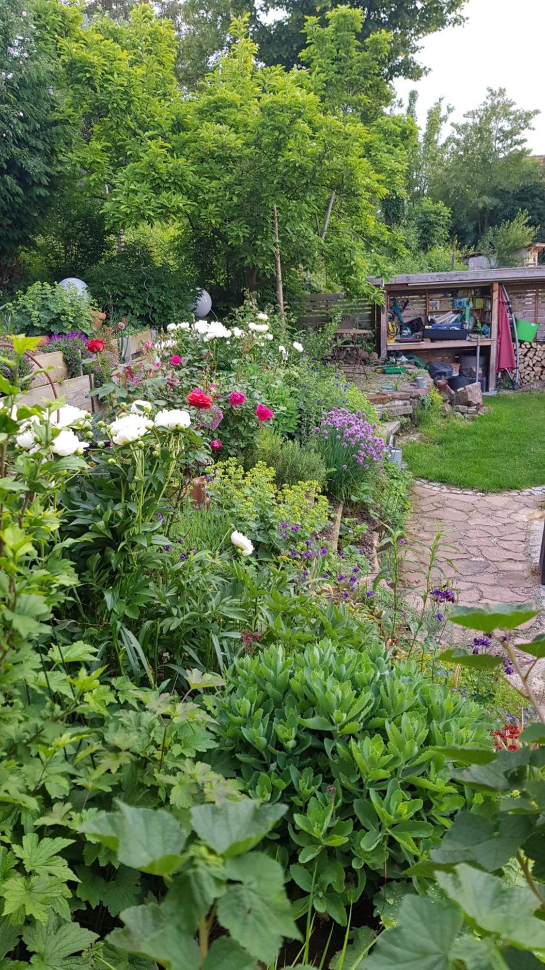 Wohnung Mit Sauna, Garten & Schwimmteich Bietigheim-Bissingen Ngoại thất bức ảnh