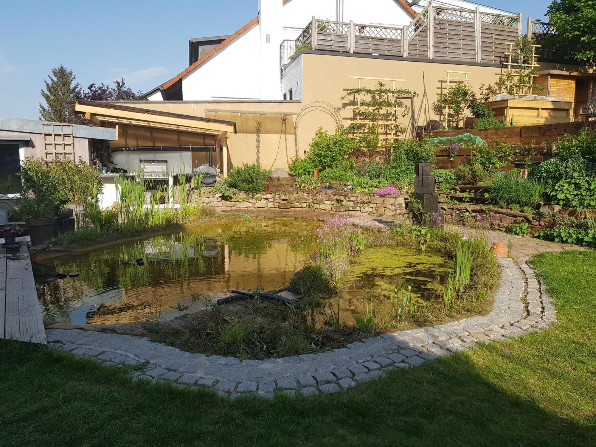 Wohnung Mit Sauna, Garten & Schwimmteich Bietigheim-Bissingen Ngoại thất bức ảnh