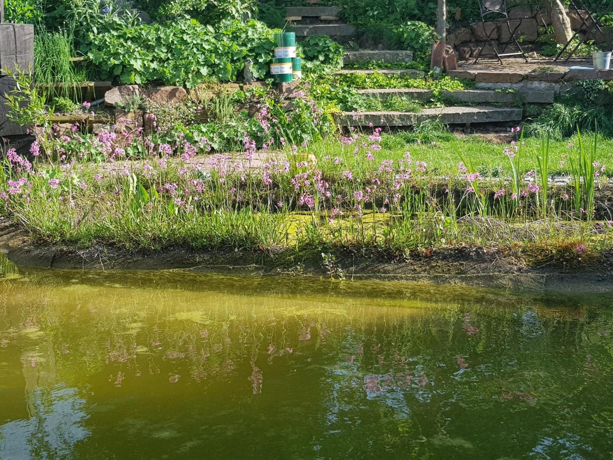 Wohnung Mit Sauna, Garten & Schwimmteich Bietigheim-Bissingen Ngoại thất bức ảnh