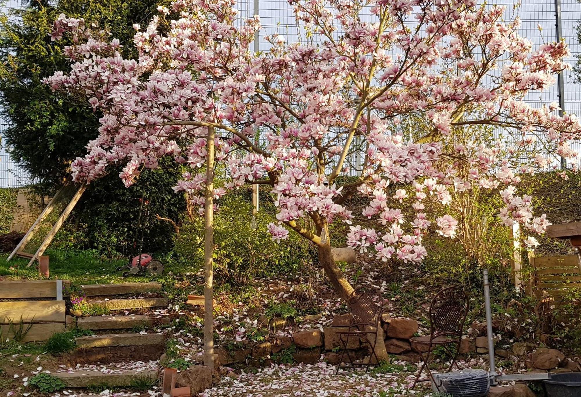 Wohnung Mit Sauna, Garten & Schwimmteich Bietigheim-Bissingen Ngoại thất bức ảnh
